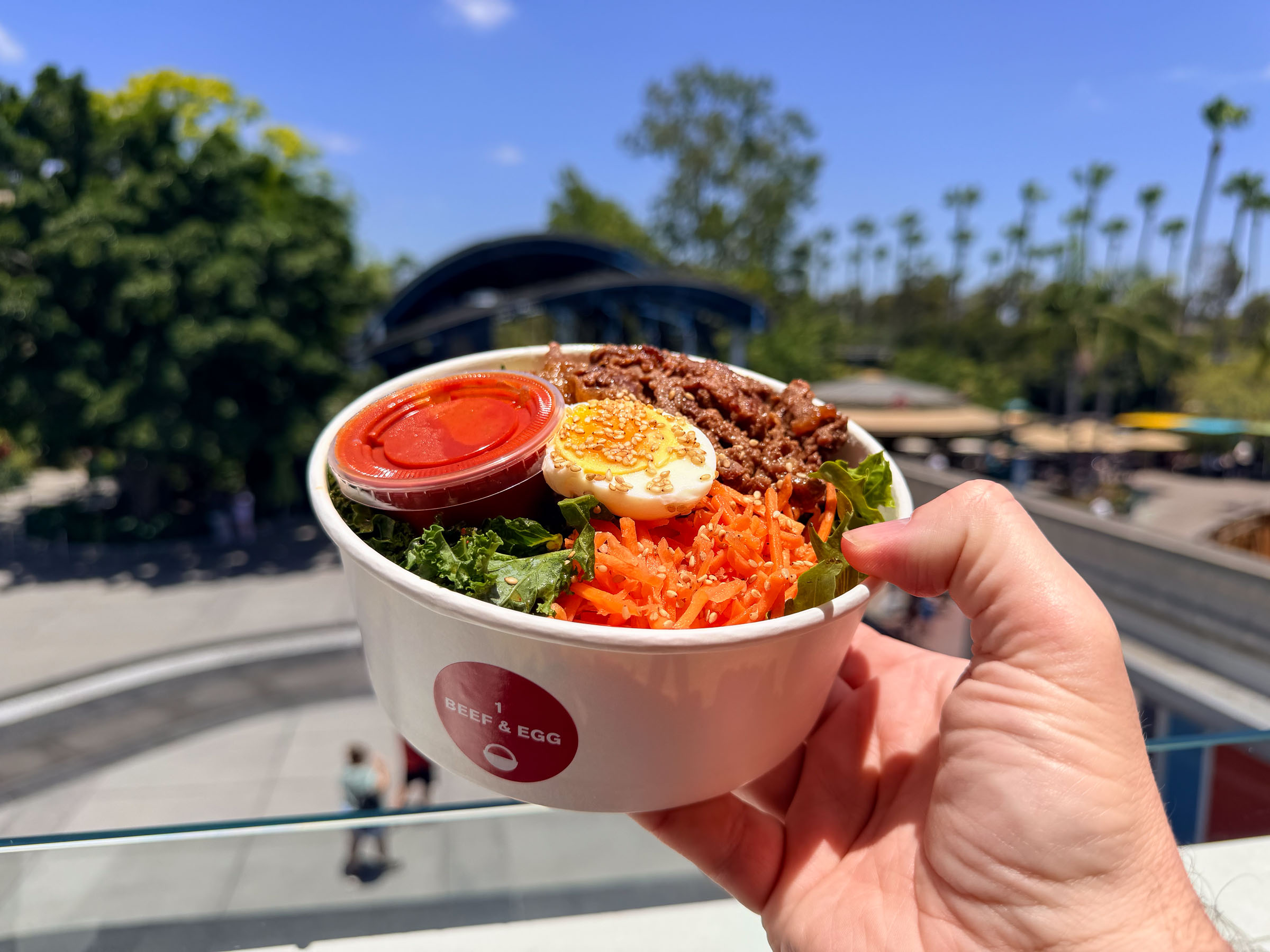 Beef and egg rice bowl at a Disney park